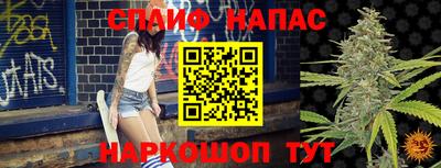 прущие грибы Кунгур